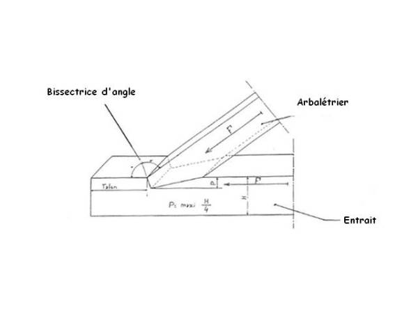 Proportions des embrèvements