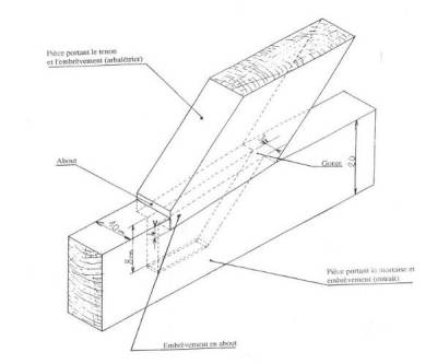 Le tenon dit oulice