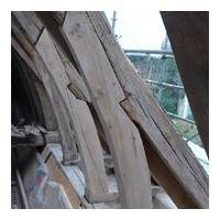 Jambes de forces courbes anciennes