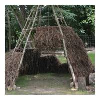 Tipi